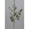 Ramo de hoja de eucalipto artificial 88cm — vista 1
