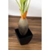 Maceta con planta artificial — vista 2