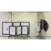 Porta plato concepts — vista 1