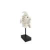 Pez decorativo concepts — vista 1